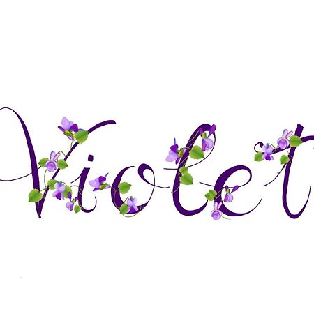 Appartamento Violet - Πάρμα Εξωτερικό φωτογραφία