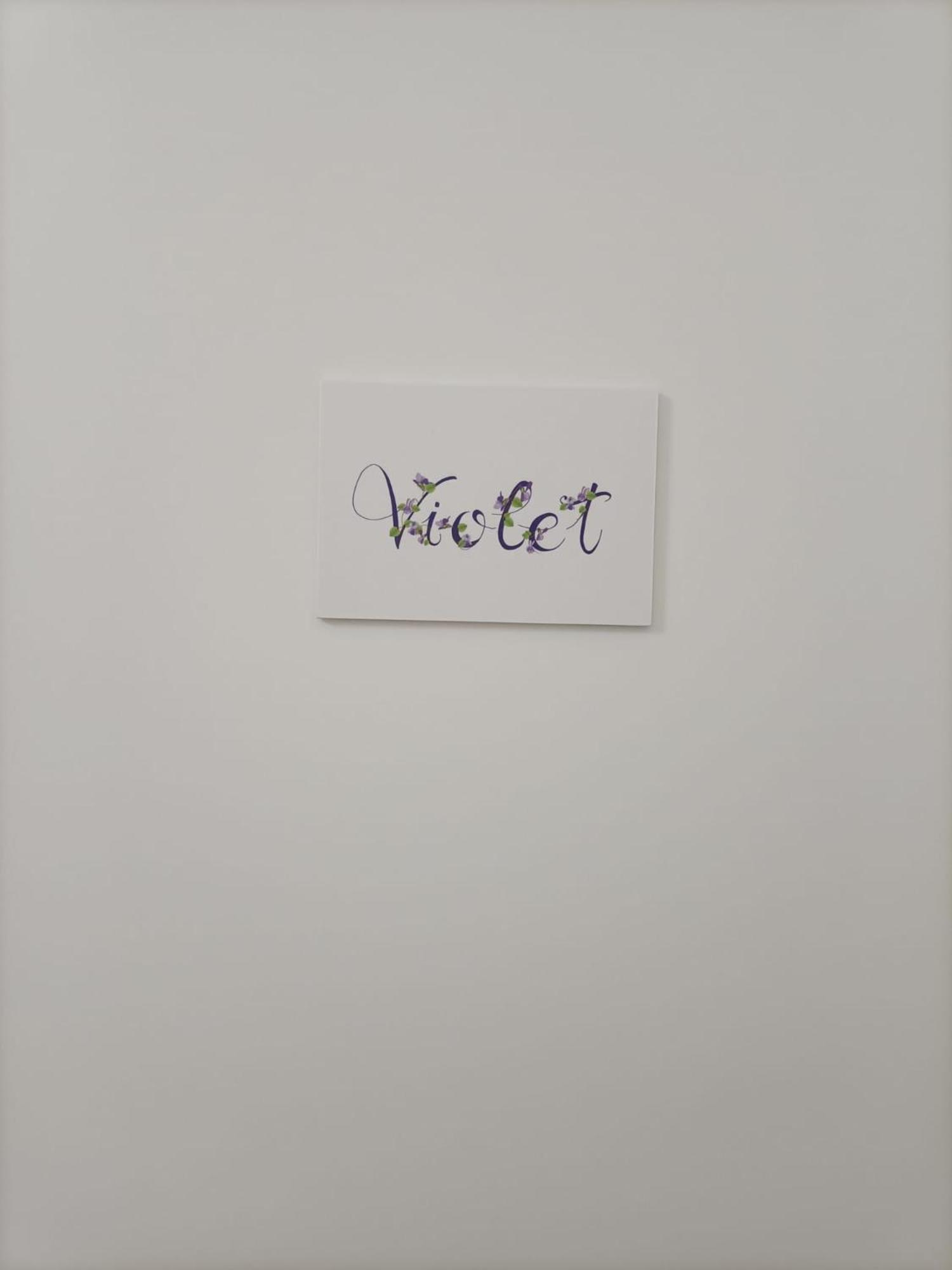 Appartamento Violet - Πάρμα Εξωτερικό φωτογραφία